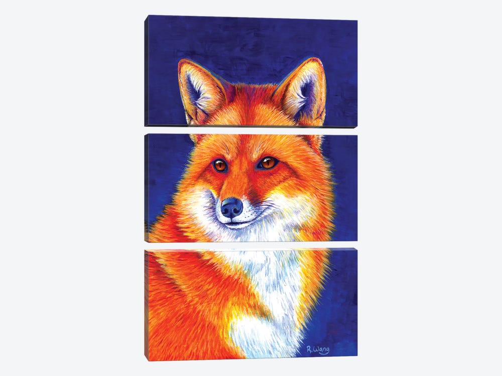 Vibrant Flame - Red Fox by Rebecca Wang 3-piece Canvas Print