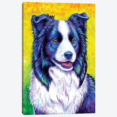 Watchful Eye - Border Collie Canvas Print #RBW38} by Rebecca Wang Canvas Wall Art