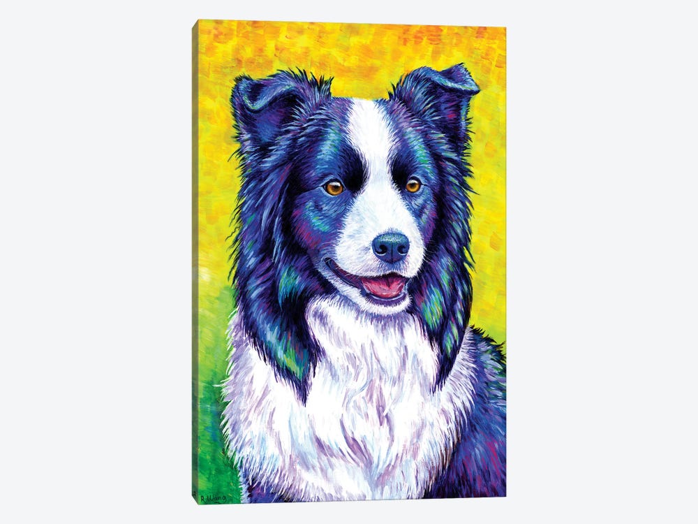 Watchful Eye - Border Collie by Rebecca Wang 1-piece Canvas Artwork