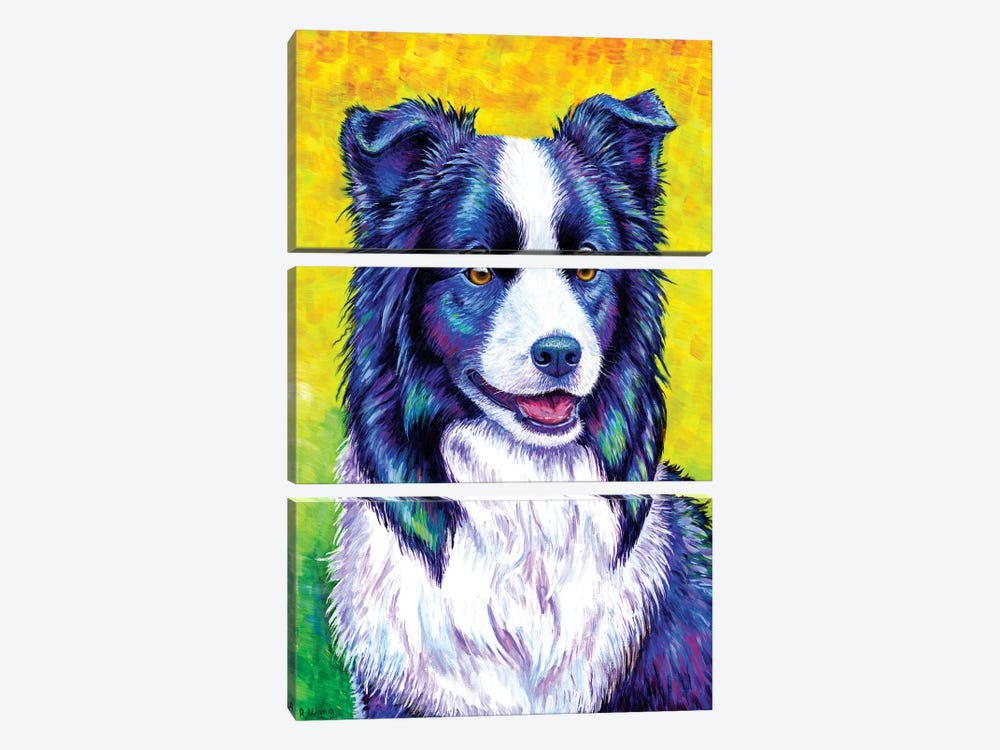 Watchful Eye - Border Collie by Rebecca Wang 3-piece Canvas Wall Art