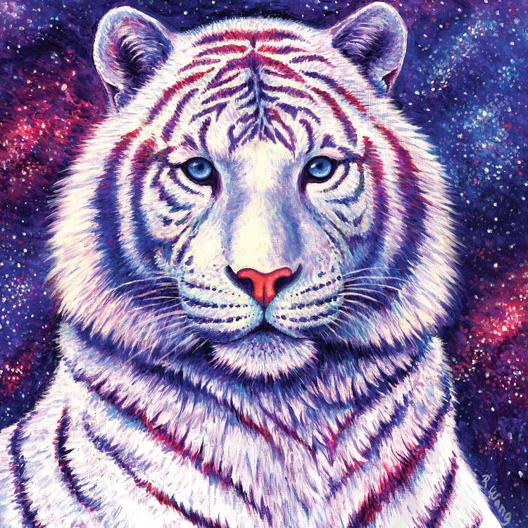 Among the Stars - Galaxy Tiger