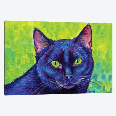 Black Cat With Chartreuse Eyes Canvas Print #RBW44} by Rebecca Wang Canvas Artwork