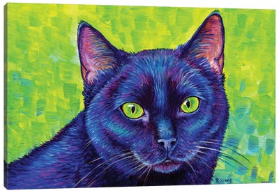 Black Cat With Chartreuse Eyes Canvas Art Print - Rebecca Wang