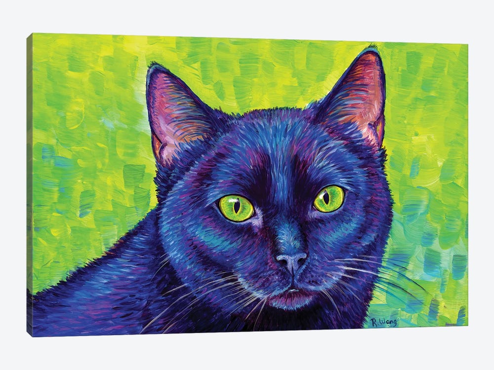 Black Cat With Chartreuse Eyes by Rebecca Wang 1-piece Canvas Print