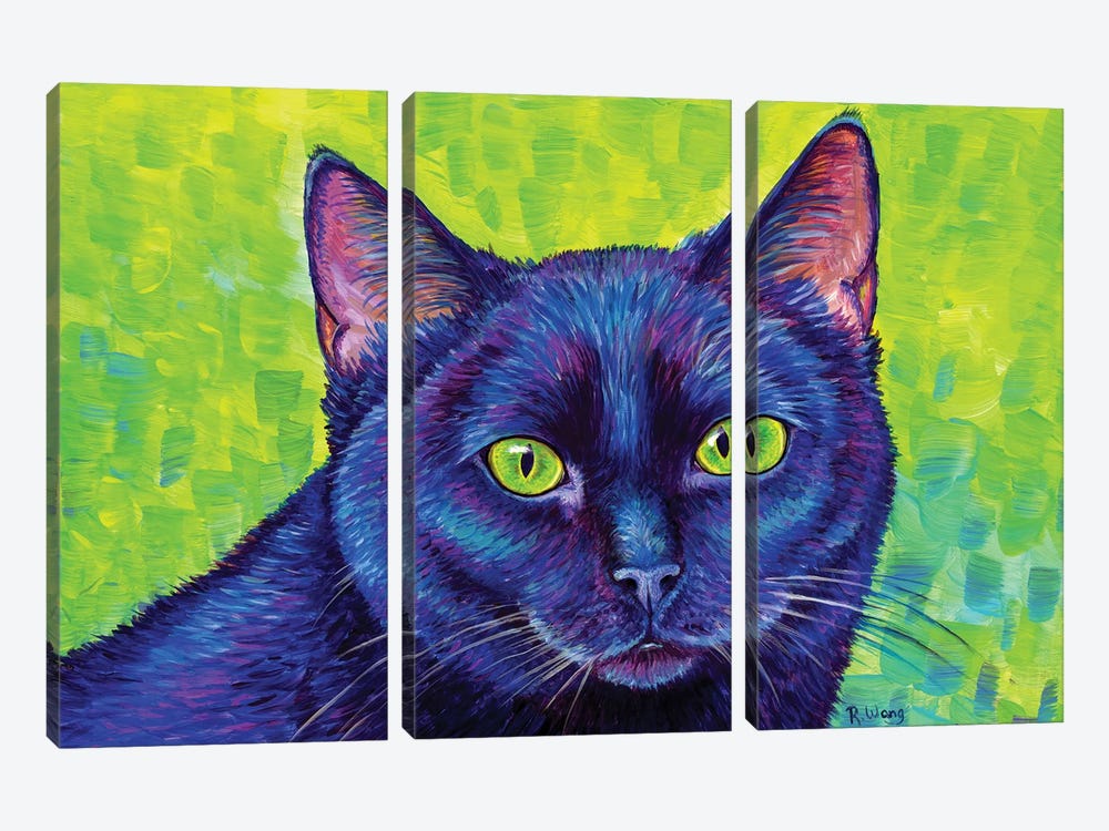 Black Cat With Chartreuse Eyes by Rebecca Wang 3-piece Art Print
