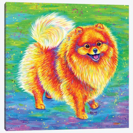 Rainbow Pomeranian Canvas Print #RBW49} by Rebecca Wang Art Print