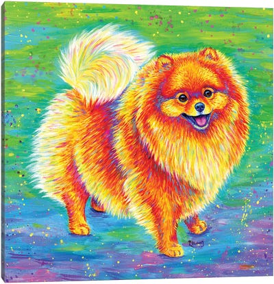Rainbow Pomeranian Canvas Art Print - Rebecca Wang