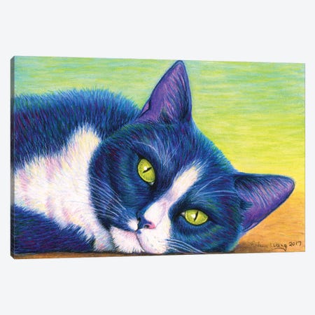 Colorful Tuxedo Cat Canvas Print #RBW50} by Rebecca Wang Canvas Art