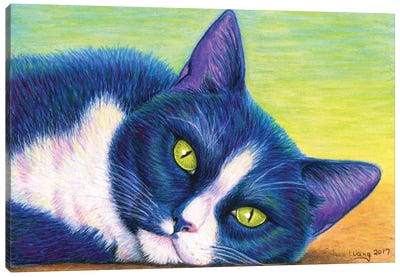 Colorful Tuxedo Cat Canvas Art Print - Tuxedo Cat Art