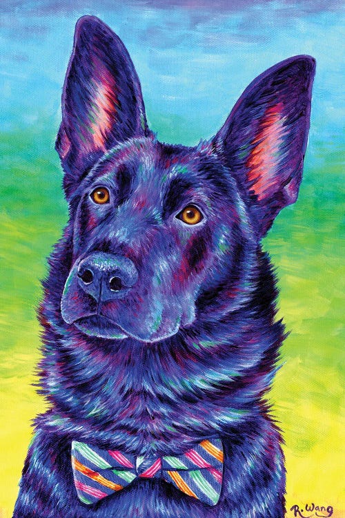 Colorful Black German Shepherd