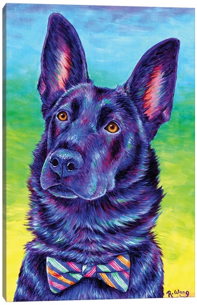 Colorful Black German Shepherd Canvas Art Print - Rebecca Wang