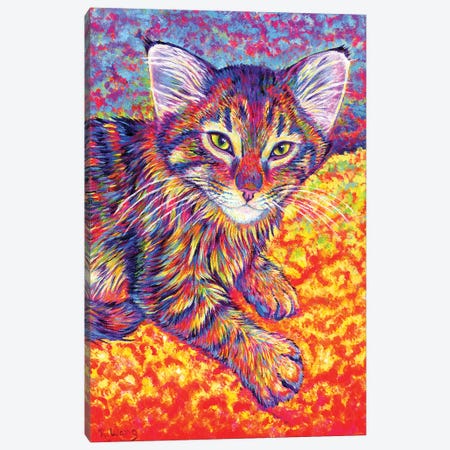 Colorful Brown Tabby Kitten Canvas Print #RBW53} by Rebecca Wang Canvas Art
