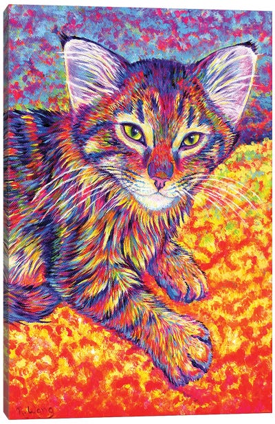 Colorful Brown Tabby Kitten Canvas Art Print - Rebecca Wang