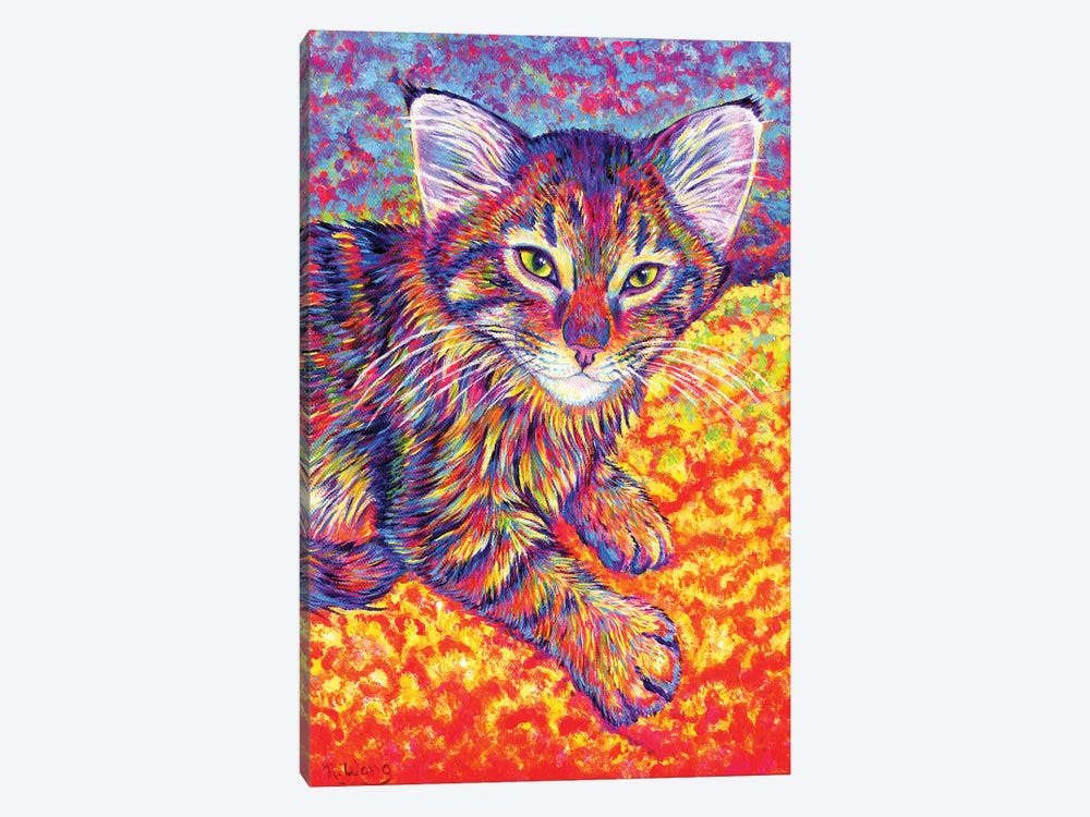 Colorful Brown Tabby Kitten by Rebecca Wang 1-piece Canvas Art Print