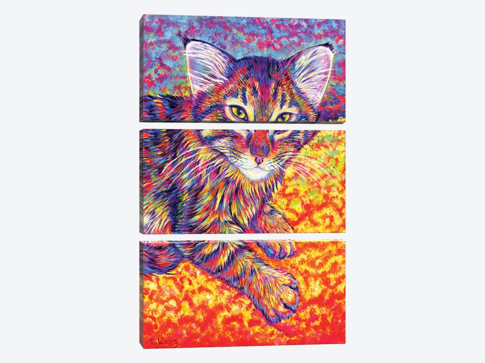 Colorful Brown Tabby Kitten by Rebecca Wang 3-piece Canvas Print