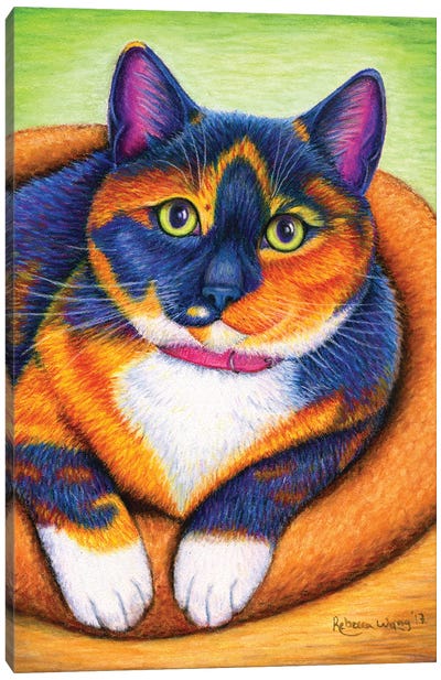 Colorful Calico Canvas Art Print - Calico Cat Art