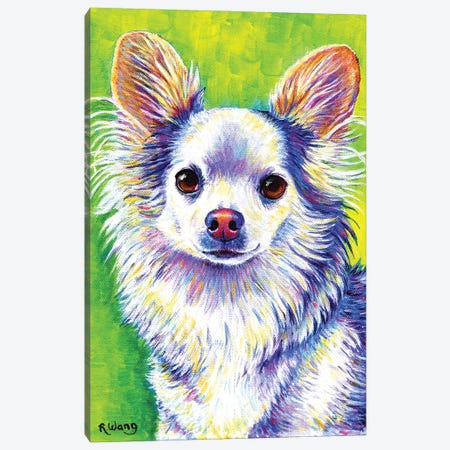 Cute Chihuahua Canvas Print #RBW57} by Rebecca Wang Art Print