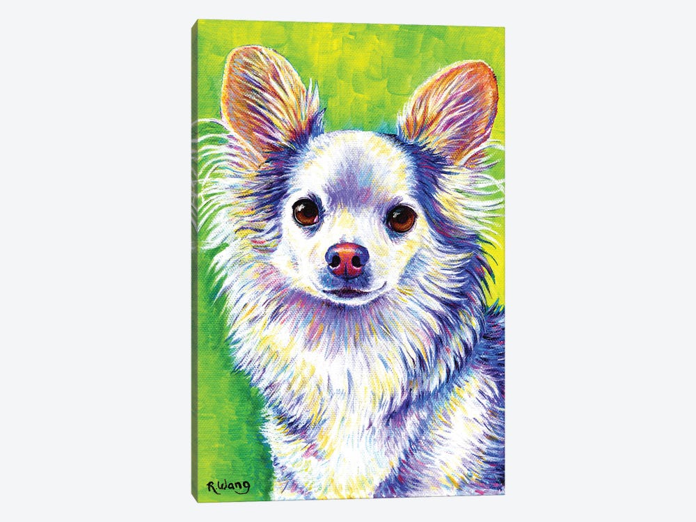 Cute Chihuahua by Rebecca Wang 1-piece Canvas Art Print