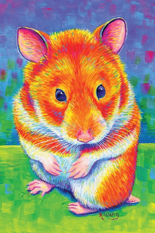 Rainbow Hamster