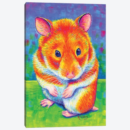 Rainbow Hamster Canvas Print #RBW58} by Rebecca Wang Canvas Art