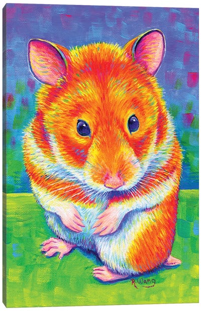 Rainbow Hamster Canvas Art Print - Rebecca Wang