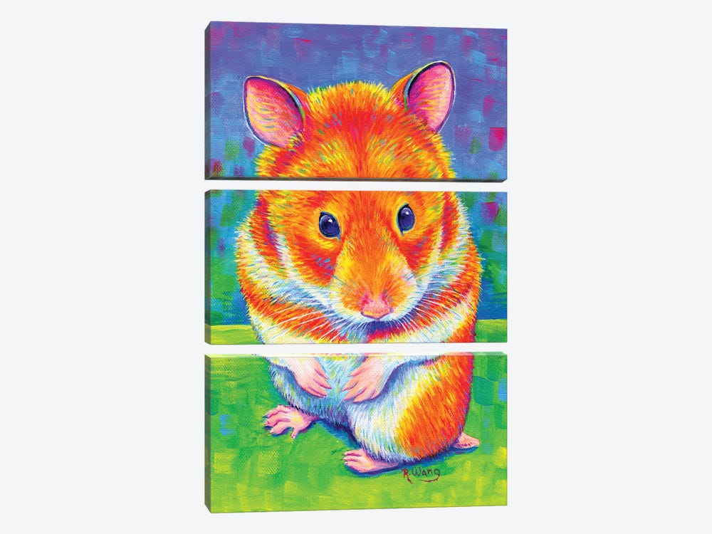 Rainbow Hamster by Rebecca Wang 3-piece Canvas Artwork