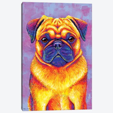 Comic Relief - Pug Canvas Print #RBW5} by Rebecca Wang Canvas Wall Art