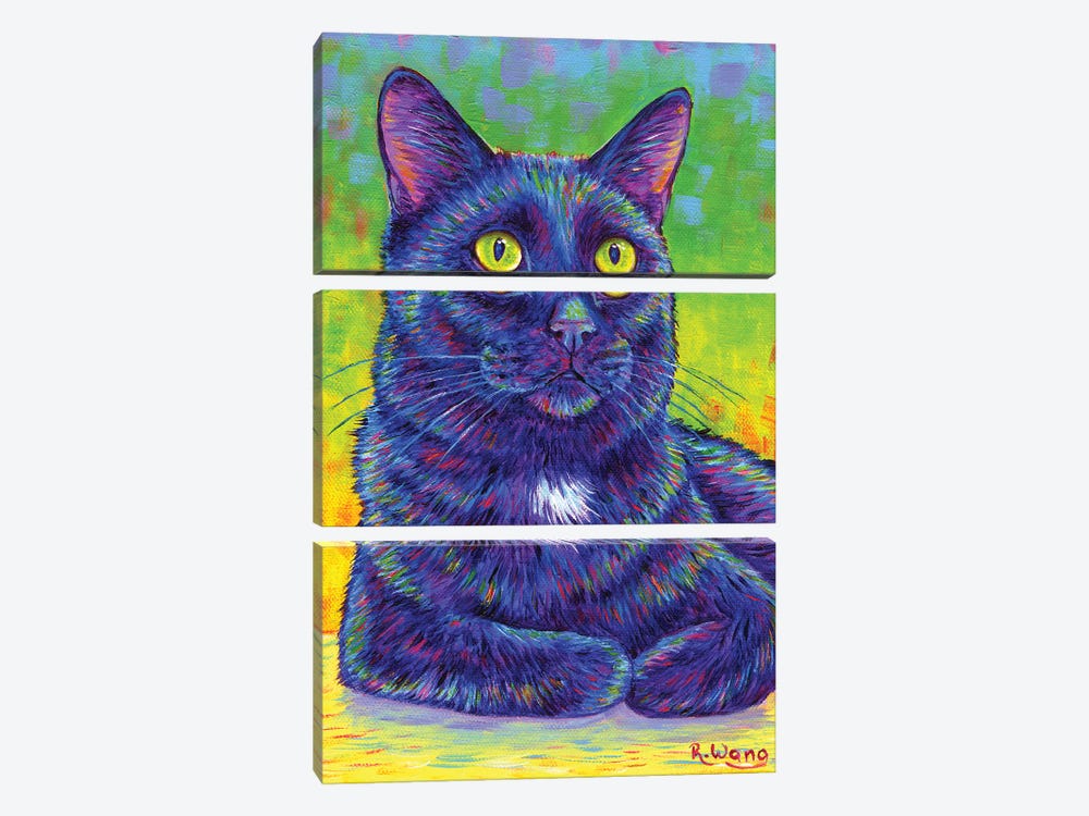 Little House Panther 3-piece Canvas Print