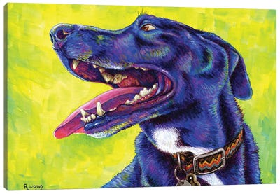 Jubilation Canvas Art Print - Labrador Retriever Art