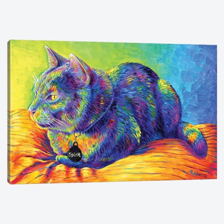 Psychedelic Spirit Canvas Print #RBW63} by Rebecca Wang Canvas Print