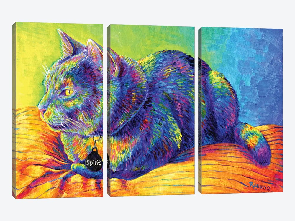 Psychedelic Spirit by Rebecca Wang 3-piece Canvas Wall Art