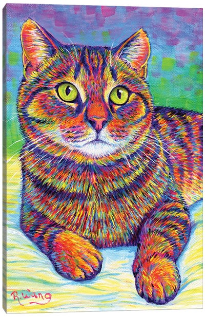 Rainbow Brown Tabby Canvas Art Print - Tabby Cat Art