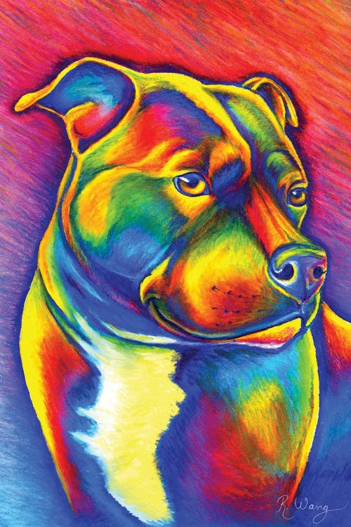 Rainbow Staffy