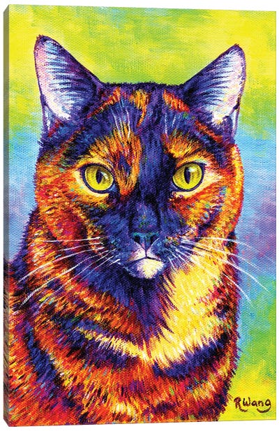 Colorful Tortoiseshell Cat Canvas Art Print - Orange Cat Art