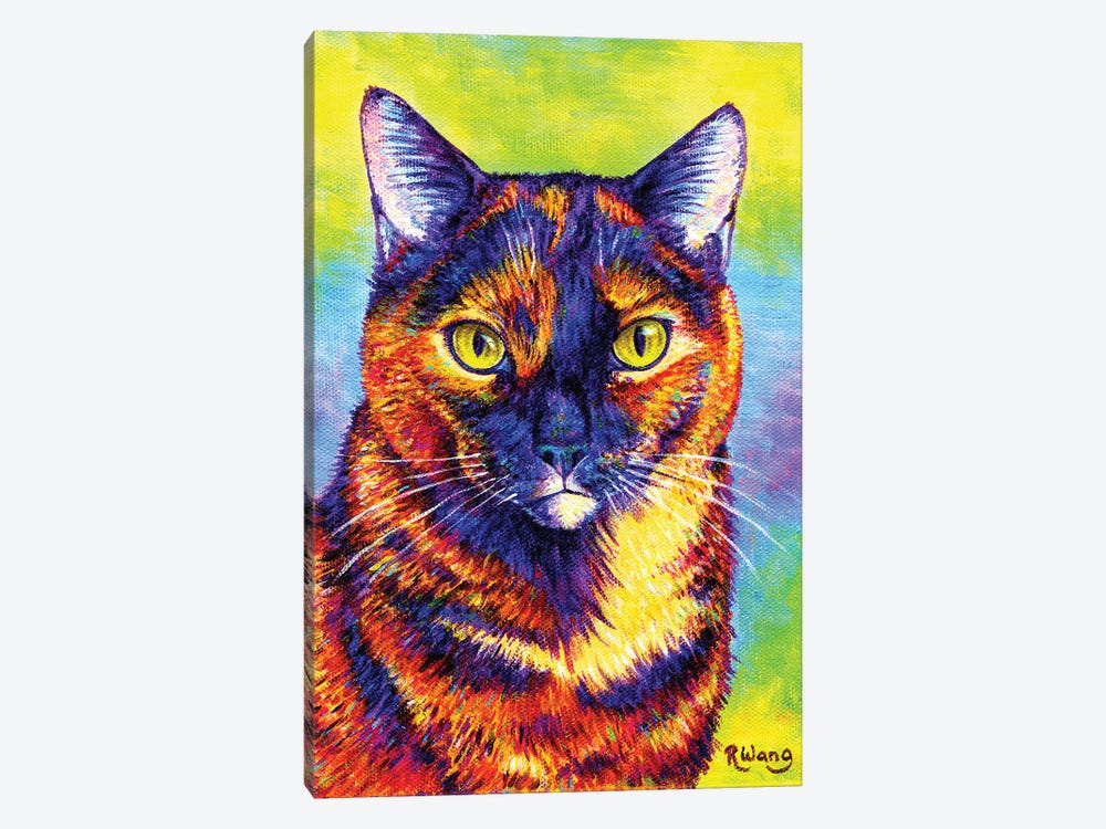 Colorful Tortoiseshell Cat 1-piece Canvas Wall Art