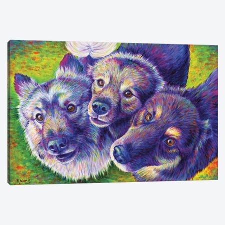 Three Amigos Canvas Print #RBW70} by Rebecca Wang Canvas Wall Art