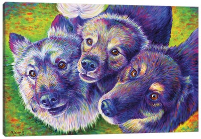 Three Amigos Canvas Art Print - Rebecca Wang