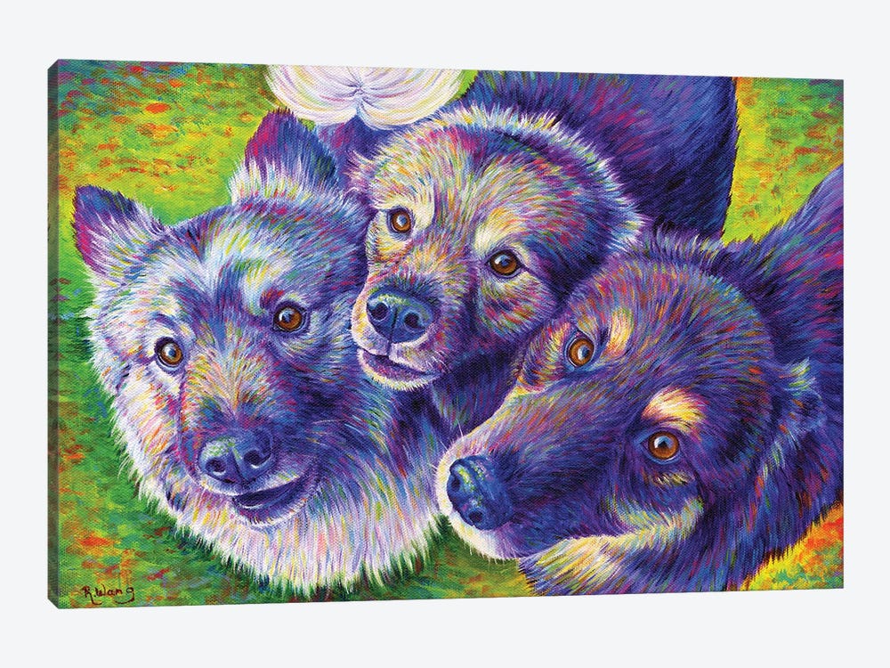 Three Amigos by Rebecca Wang 1-piece Canvas Artwork
