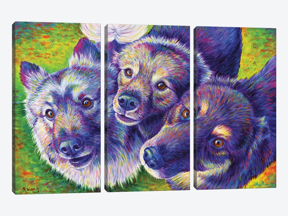 Three Amigos by Rebecca Wang 3-piece Canvas Artwork