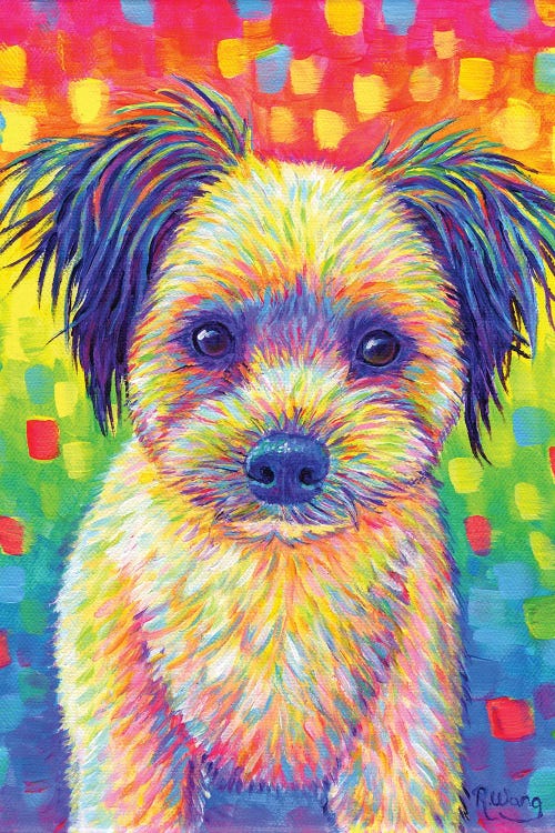 Cute Rainbow Puppy