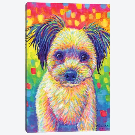 Cute Rainbow Puppy Canvas Print #RBW71} by Rebecca Wang Canvas Artwork