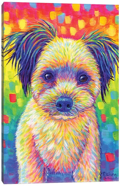 Cute Rainbow Puppy Canvas Art Print - Rebecca Wang