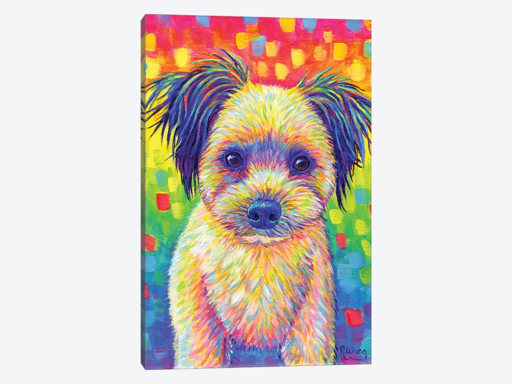 Cute Rainbow Puppy by Rebecca Wang 1-piece Canvas Print
