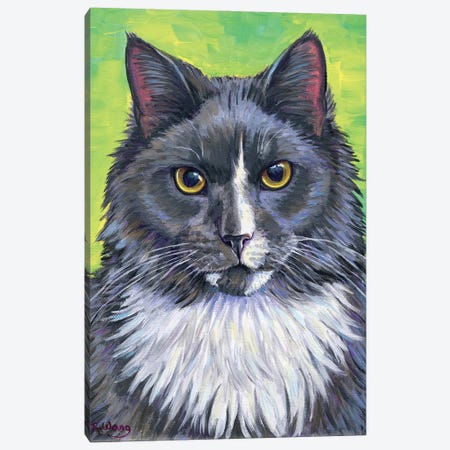 Gray And White Cat Canvas Print #RBW73} by Rebecca Wang Canvas Wall Art