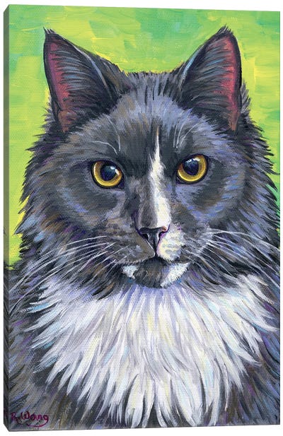 Gray And White Cat Canvas Art Print - Tuxedo Cat Art