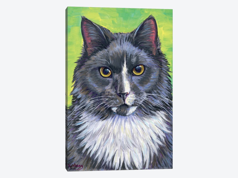 Gray And White Cat by Rebecca Wang 1-piece Canvas Print