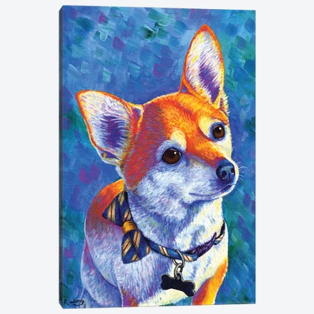 Curious Chihuahua Dog Canvas Print #RBW75} by Rebecca Wang Canvas Art Print
