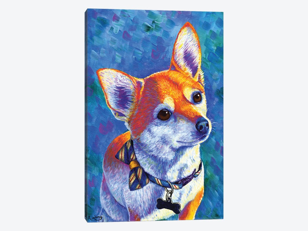 Curious Chihuahua Dog by Rebecca Wang 1-piece Canvas Print