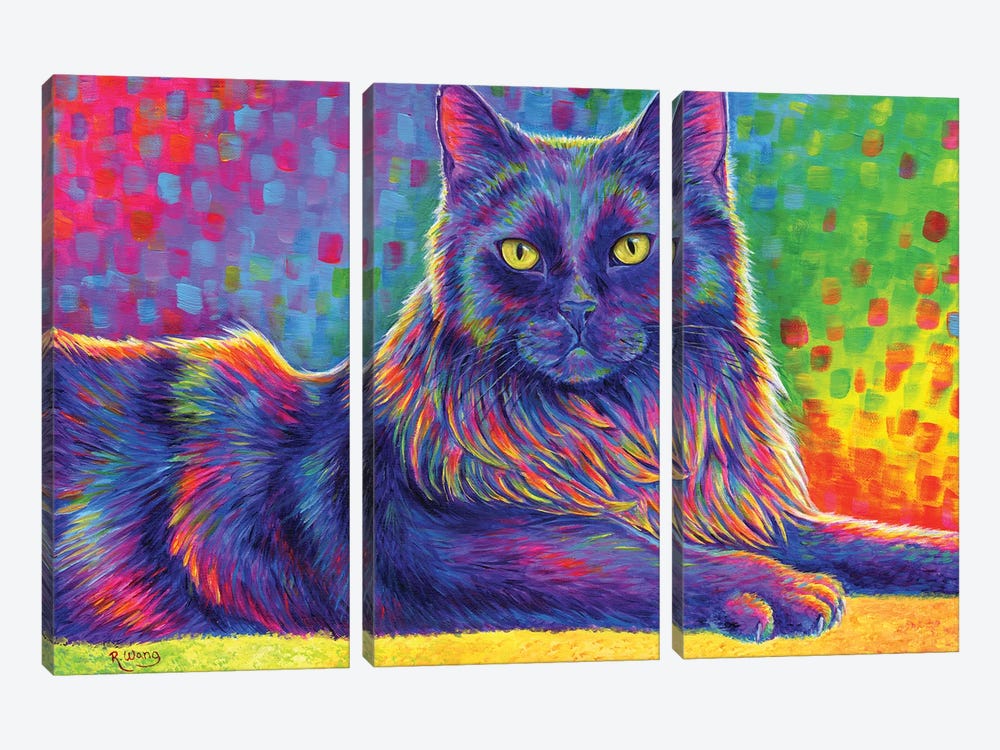 Psychedelic Rainbow Black Cat by Rebecca Wang 3-piece Canvas Art Print