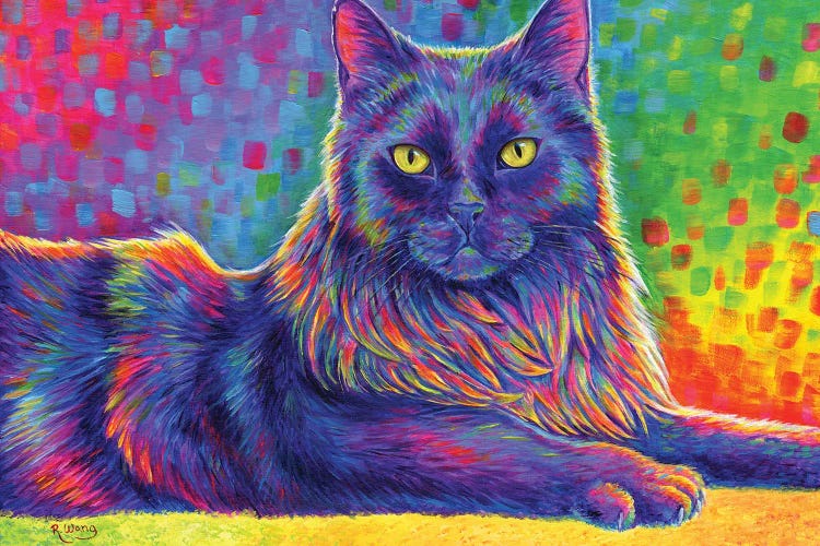 Psychedelic Rainbow Black Cat